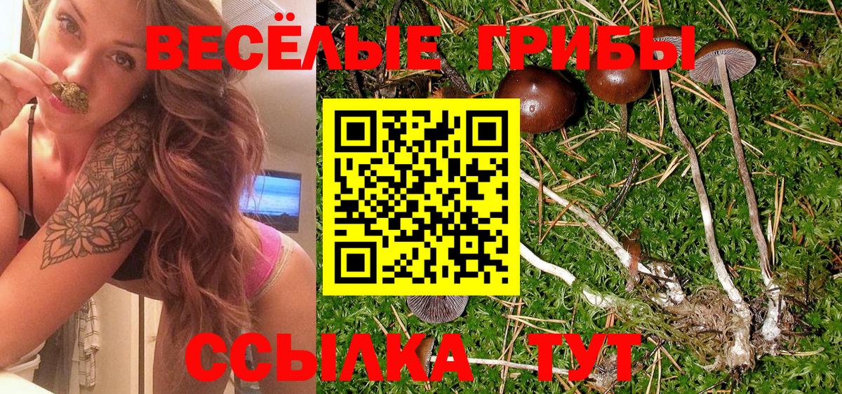 Галлюциногенные грибы GOLDEN TEACHER Москва