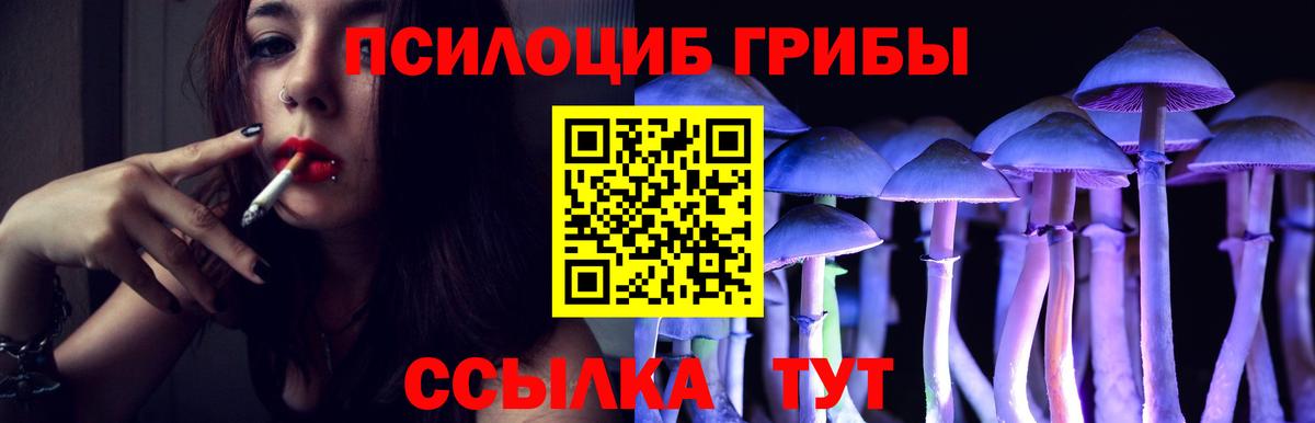 купить наркотики цена  Вход с VPN  Москва  Галлюциногенные грибы мицелий  Псилоцибиновые грибы мухоморы 